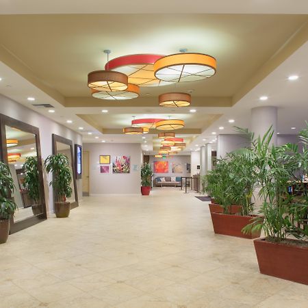 Crowne Plaza Hotel Ventura Beach, an IHG hotel Exterior foto